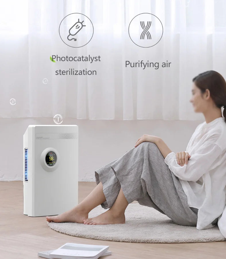 Household Dehumidifier Air Dryer