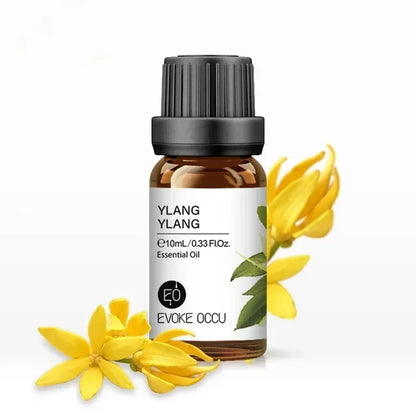 10ML Essential Oils: Vanilla, Eucalyptus, Jasmine, Rose, Lavender, Rosemary, Peppermint, Tea Tree