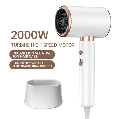 Professional Hair Dryer with Negative Ionic Blow Dryer, Hot Cold Wind, Strong Power Salon Tool