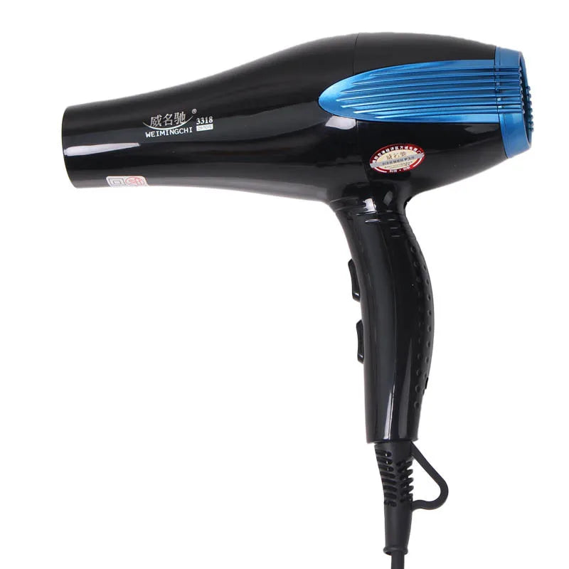 3318 Hair Salon Hair Dryer 2600w With Blue Light