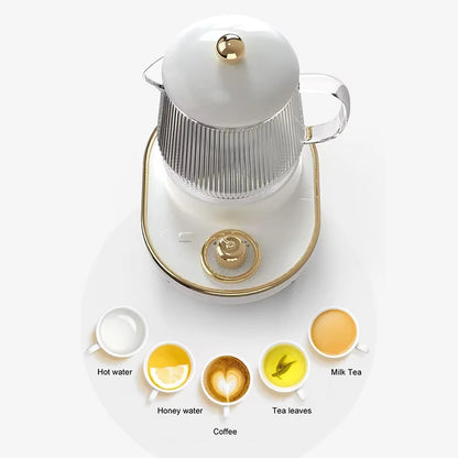 600ml Multifunctional Mini Health Pot Electric Stew Cup Tea Maker Heating Cup
Bird Nest Stew Cup Home Office Gift