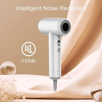 Hair Dryer with High-Speed Negative Ionic Technology