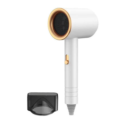 High Speed Hair Dryer Professional Salon Home Dryer Constant Temperature Hair Care Dryer