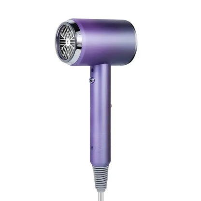 High-Power Hair Dryer for Hotels and Home Use