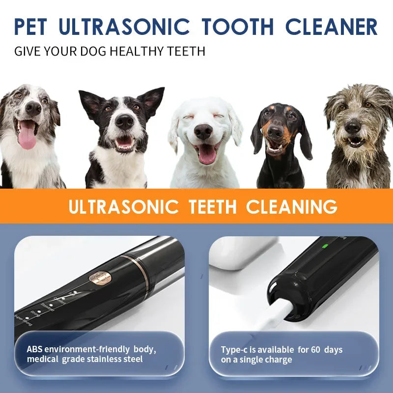Pet Oral Care Dental Beauty Device Electric Dental Flusher for Dogs