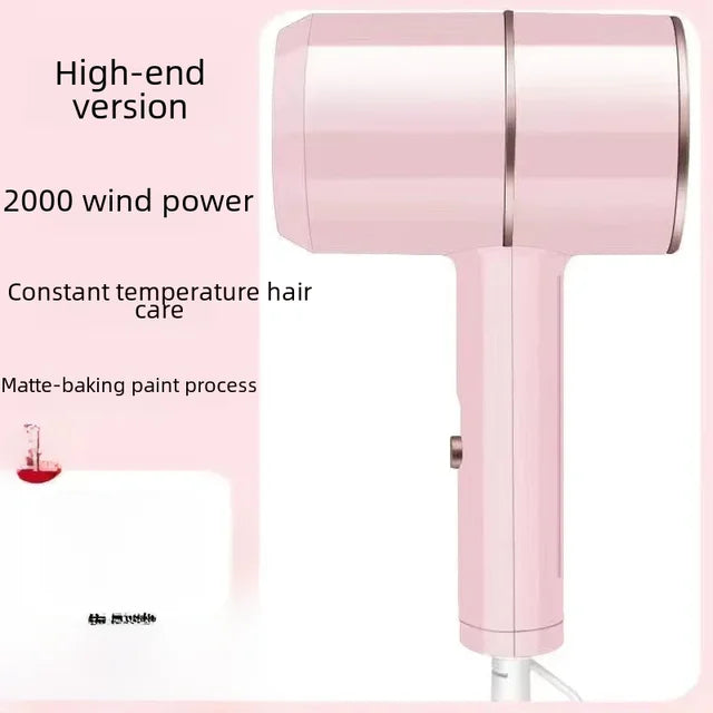 Shunrui High Power Hair Dryer